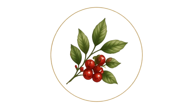 Doce Cambui Ícone